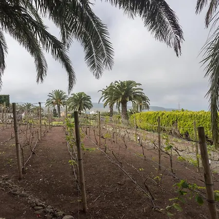Paredones Farm - Private Pool - Garden Holiday home