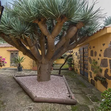 Paredones Farm - Private Pool - Garden * Santa Maria de Guia de Gran Canaria